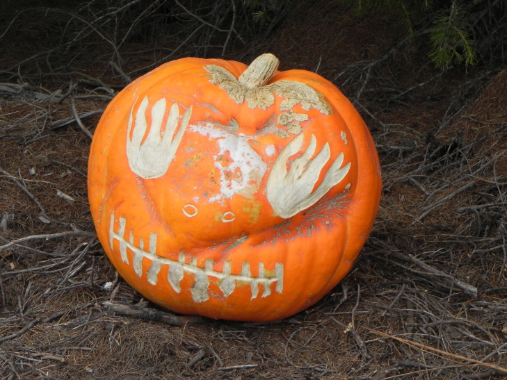 Tough, Nipomo Pumpkin Patch best carving idea